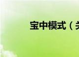 宝中模式（关于宝中模式介绍）