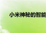  小米神秘的智能手机出现在动手图像中