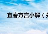 宜春方言小解（关于宜春方言小解介绍）