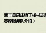 宝丰县周庄镇丁楼村志愿服务队（关于宝丰县周庄镇丁楼村志愿服务队介绍）