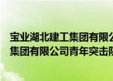 宝业湖北建工集团有限公司青年突击队（关于宝业湖北建工集团有限公司青年突击队介绍）