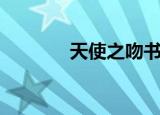 天使之吻书（天使之吻小说）