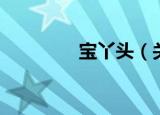 宝丫头（关于宝丫头介绍）