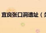 宜良张口洞遗址（关于宜良张口洞遗址介绍）