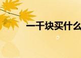 一千块买什么狗好（买什么狗好）