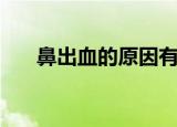 鼻出血的原因有哪些（鼻出血的原因）