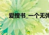 爱搜书_一个无弹窗的小说（爱搜书网）