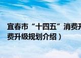 宜春市“十四五”消费升级规划（关于宜春市“十四五”消费升级规划介绍）