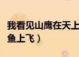 我看见山鹰在天上飞（我看见山鹰在寂寞两条鱼上飞）