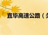 宜毕高速公路（关于宜毕高速公路介绍）