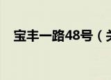 宝丰一路48号（关于宝丰一路48号介绍）