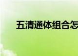 五清通体组合怎么样（五清通体组合）