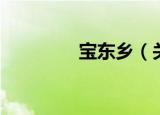 宝东乡（关于宝东乡介绍）