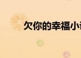 欠你的幸福小说（欠你的幸福mv）