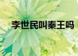 李世民叫秦王吗（李世民为什么叫秦王）