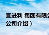 宜进利 集团有限公司（关于宜进利 集团有限公司介绍）