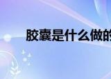 胶囊是什么做的?（胶囊是什么做的）