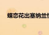 蝶恋花出塞纳兰性德翻译（蝶恋花出塞）
