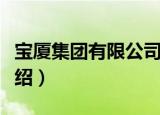 宝厦集团有限公司（关于宝厦集团有限公司介绍）