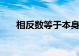 相反数等于本身的数是什么（相反数）