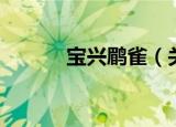 宝兴鹛雀（关于宝兴鹛雀介绍）