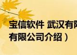 宝信软件 武汉有限公司（关于宝信软件 武汉有限公司介绍）
