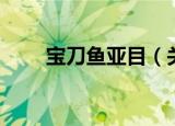 宝刀鱼亚目（关于宝刀鱼亚目介绍）