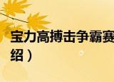 宝力高搏击争霸赛（关于宝力高搏击争霸赛介绍）