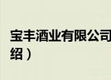 宝丰酒业有限公司（关于宝丰酒业有限公司介绍）
