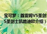 宝可梦：酋雷姆VS圣剑士凯路迪欧（关于宝可梦：酋雷姆VS圣剑士凯路迪欧介绍）