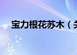 宝力根花苏木（关于宝力根花苏木介绍）