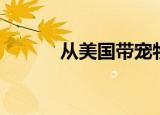 从美国带宠物回国（宠物回国）