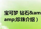 宝可梦 钻石&珍珠（关于宝可梦 钻石&珍珠介绍）