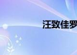 汪致佳罗伟杰（汪致佳）
