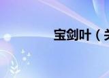 宝剑叶（关于宝剑叶介绍）