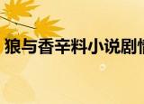 狼与香辛料小说剧情（狼与香辛料小说结局）