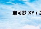 宝可梦 XY（关于宝可梦 XY介绍）