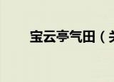 宝云亭气田（关于宝云亭气田介绍）