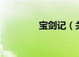宝剑记（关于宝剑记介绍）