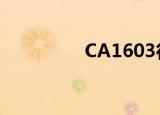 CA1603行李（ca1603）