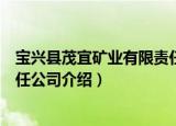宝兴县茂宜矿业有限责任公司（关于宝兴县茂宜矿业有限责任公司介绍）