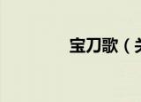 宝刀歌（关于宝刀歌介绍）