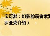 宝可梦：幻影的霸者索罗亚克（关于宝可梦：幻影的霸者索罗亚克介绍）
