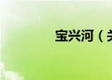 宝兴河（关于宝兴河介绍）