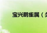 宝兴鹛雀属（关于宝兴鹛雀属介绍）