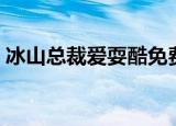 冰山总裁爱耍酷免费阅读（冰山总裁爱耍酷）