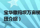 宝华撒玛坝万亩梯田（关于宝华撒玛坝万亩梯田介绍）