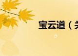 宝云道（关于宝云道介绍）