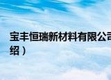 宝丰恒瑞新材料有限公司（关于宝丰恒瑞新材料有限公司介绍）