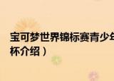 宝可梦世界锦标赛青少年杯（关于宝可梦世界锦标赛青少年杯介绍）